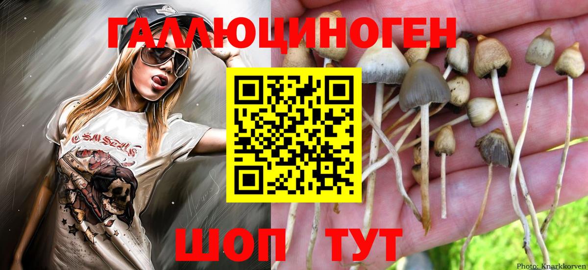 Галлюциногенные грибы мухоморы  Псилоцибиновые грибы Psilocybine cubensis  Брянск  Вход с VPN 