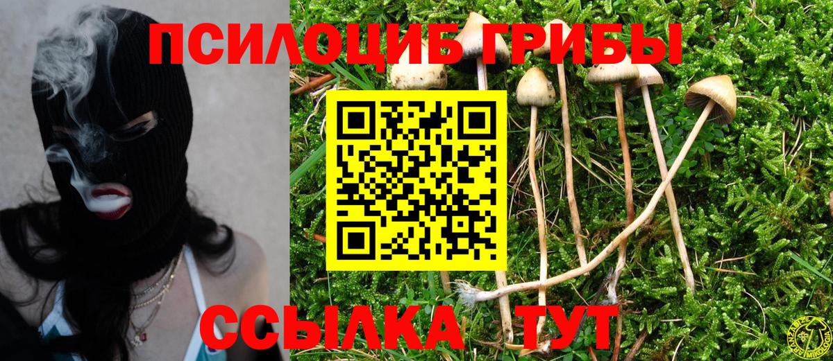 Галлюциногенные грибы прущие грибы Брянск